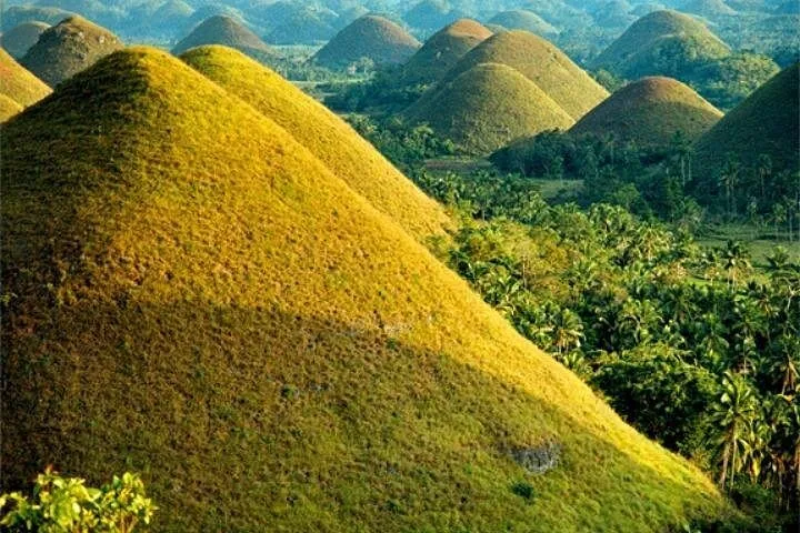 Schöne Aussicht auf die ikonischen Chocolate Hills, umgeben von üppiger grüner Vegetation
