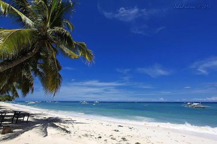 Een prachtig wit zandstrand met helderblauw water en een palmboom.