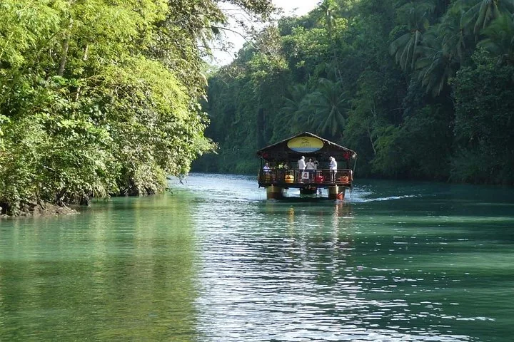 Een drijvend restaurant dat vaart over een rustige, groene rivier omzoomd door weelderige vegetatie.